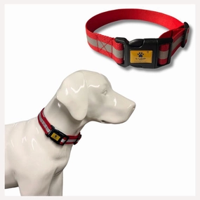 A a Pets' Reflective Dog Collar (Set of 5)