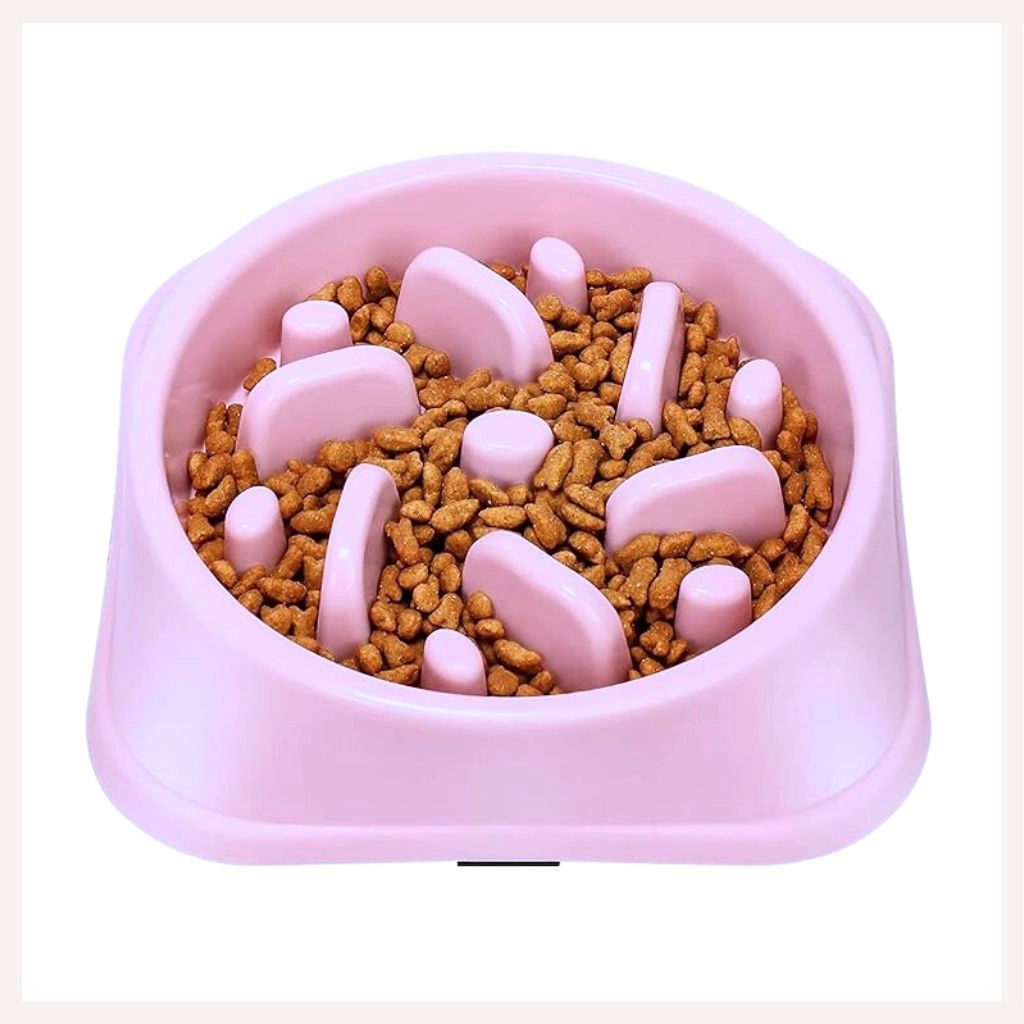 A a Pets' Slow Feeder Bowl for Pets