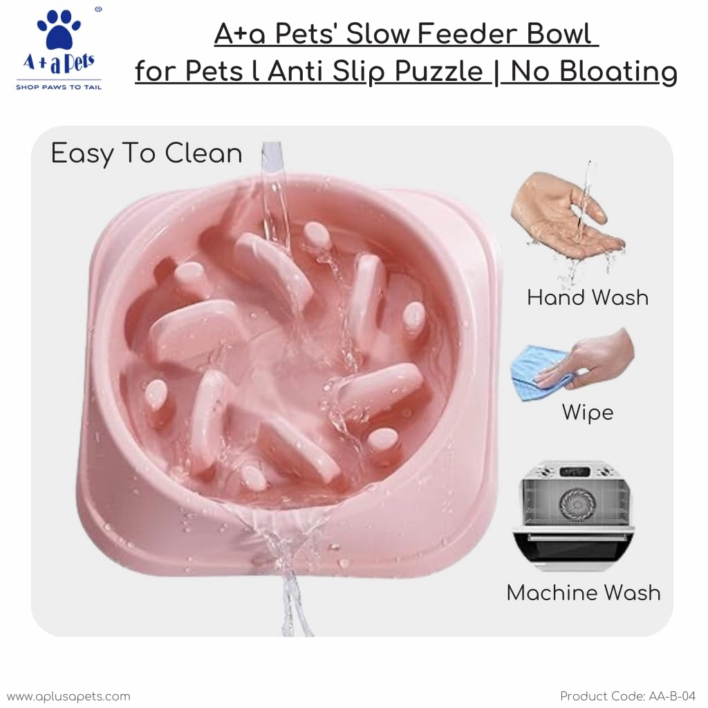 A a Pets' Slow Feeder Bowl for Pets