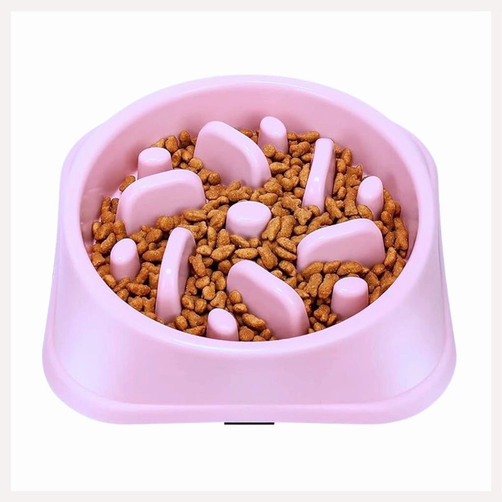 A a Pets' Slow Feeder Bowl for Pets