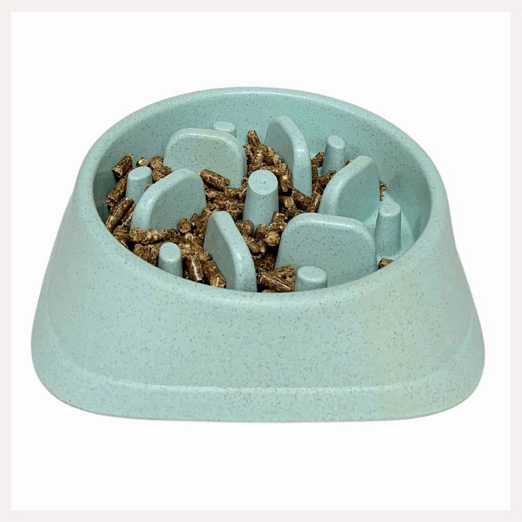 A a Pets' Slow Feeder Bowl for Pets