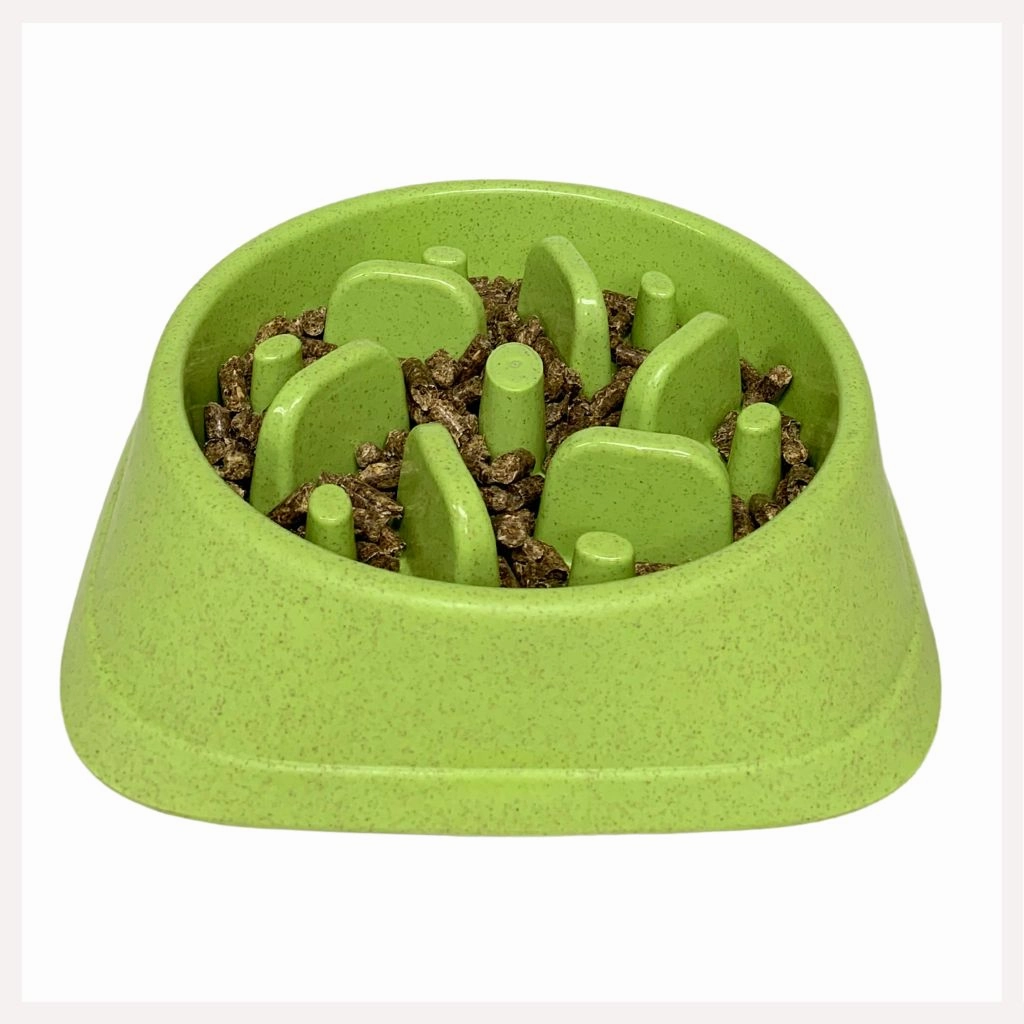 A a Pets' Slow Feeder Bowl for Pets
