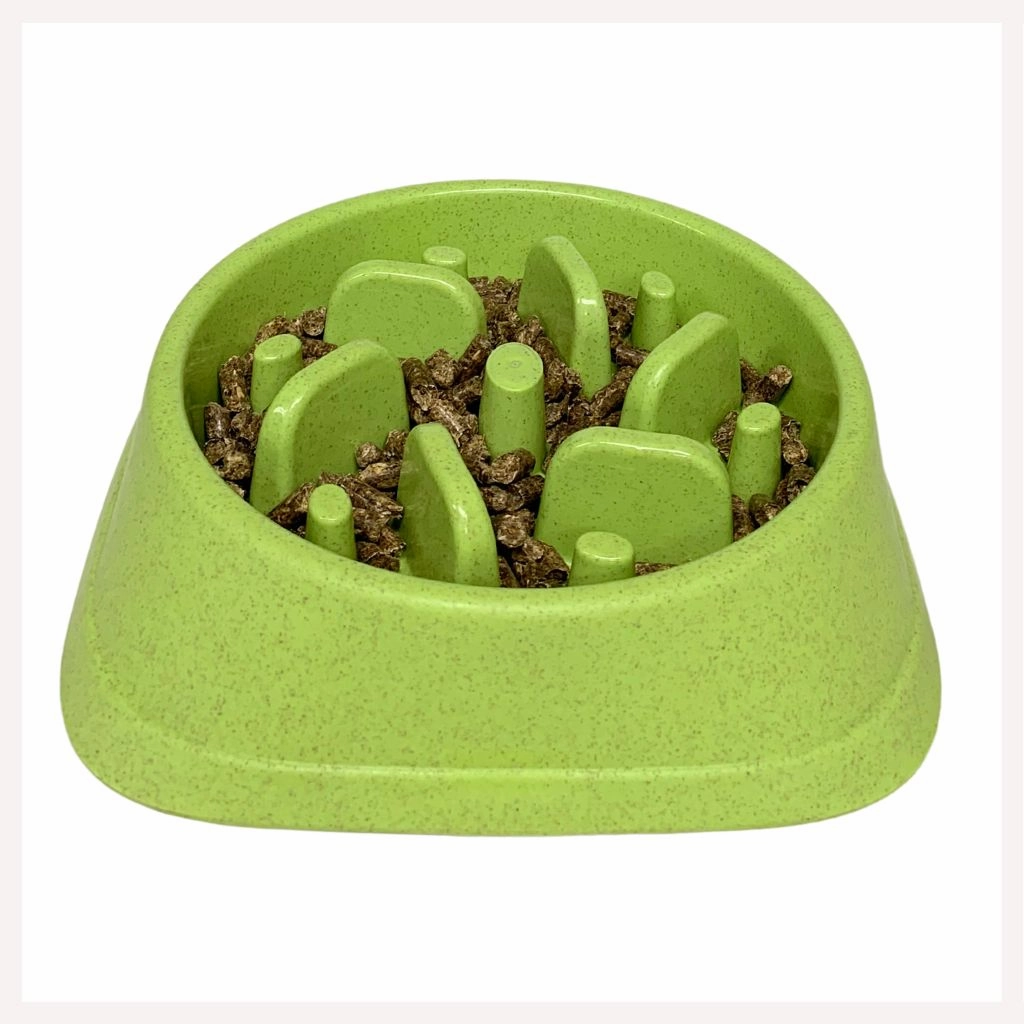 A a Pets' Slow Feeder Bowl for Pets