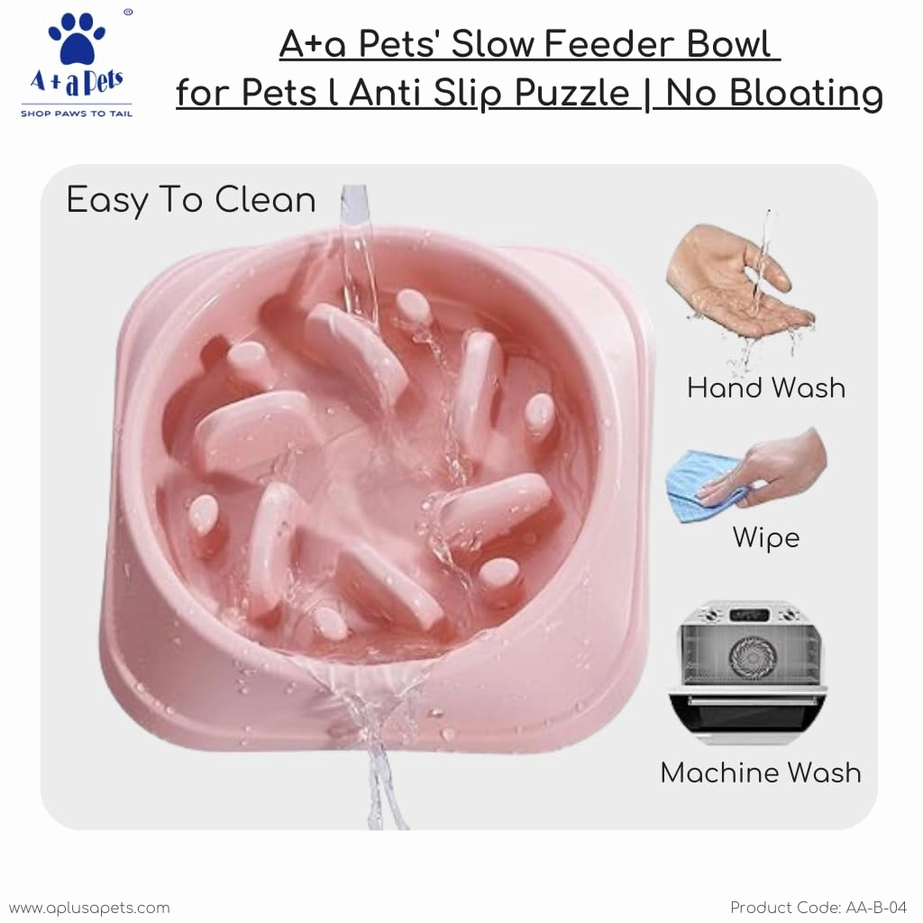 A a Pets' Slow Feeder Bowl for Pets
