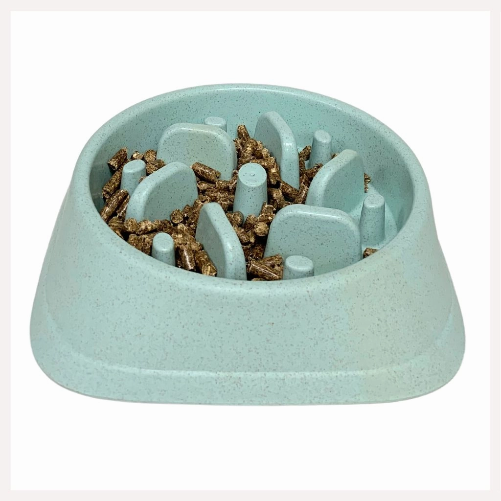 A a Pets' Slow Feeder Bowl for Pets