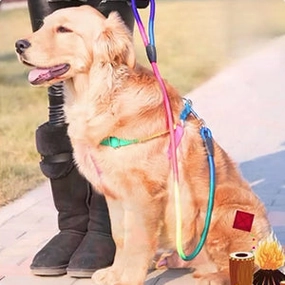 A a Pets' Step-in Harness & Leash Set for Dogs Rainbow Colours