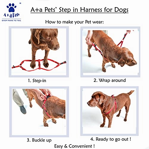 A a Pets' Step-in Harness for Dogs & Cats Pirate Design