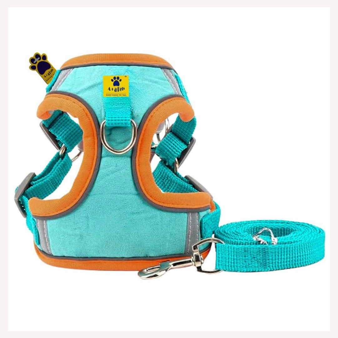 A a Pets' Suede Harness & Leash Set for Cats & Small Dogs
