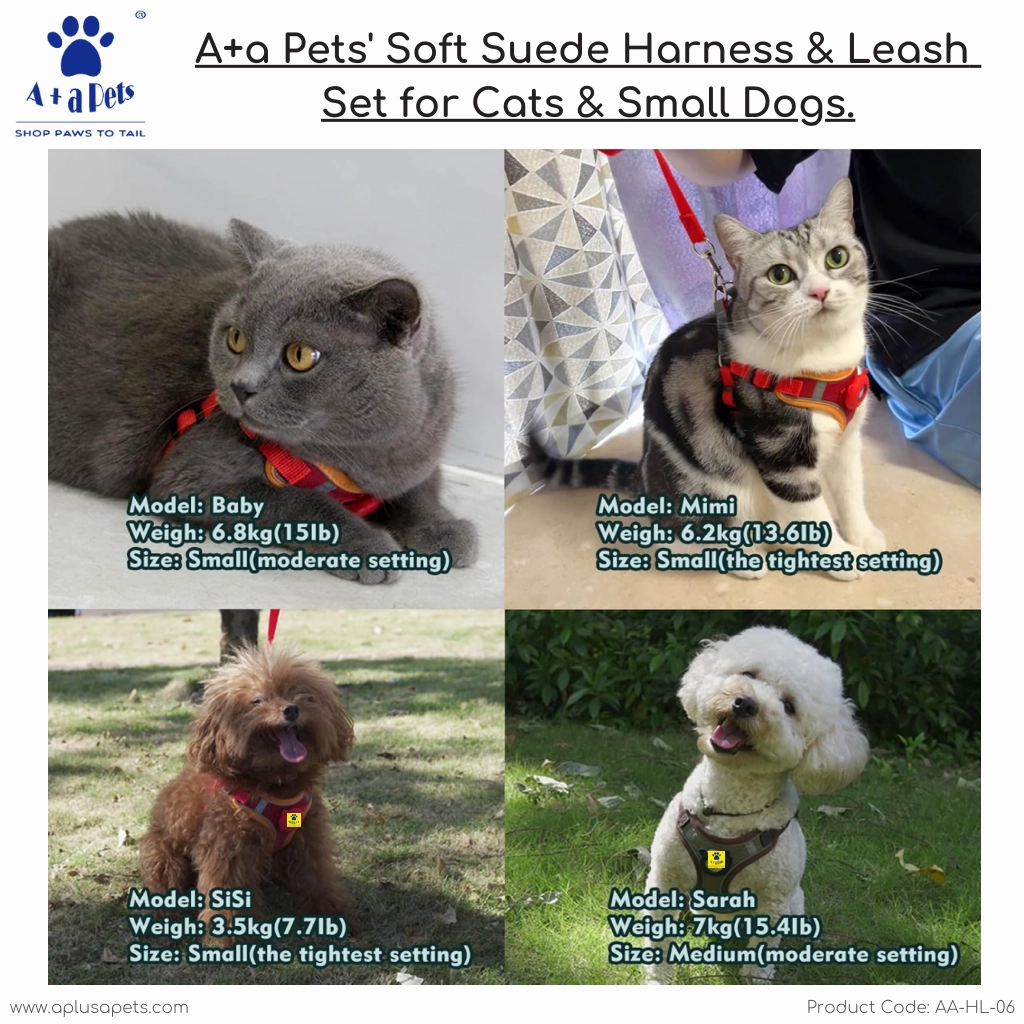 A a Pets' Suede Harness & Leash Set for Cats & Small Dogs