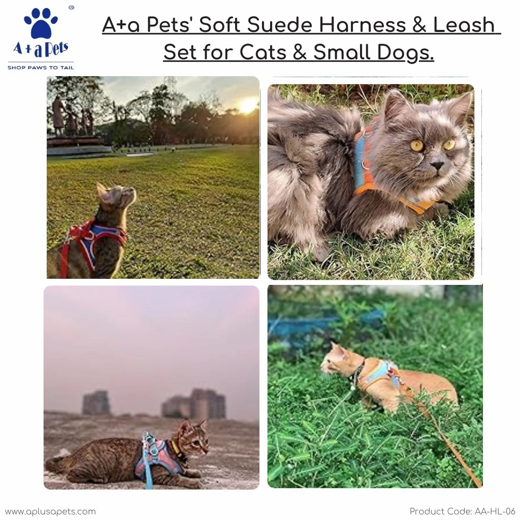 A a Pets' Suede Harness & Leash Set for Cats & Small Dogs