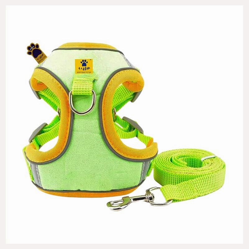 A a Pets' Suede Harness & Leash Set for Cats & Small Dogs