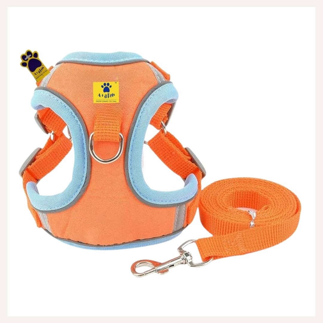 A a Pets' Suede Harness & Leash Set for Cats & Small Dogs