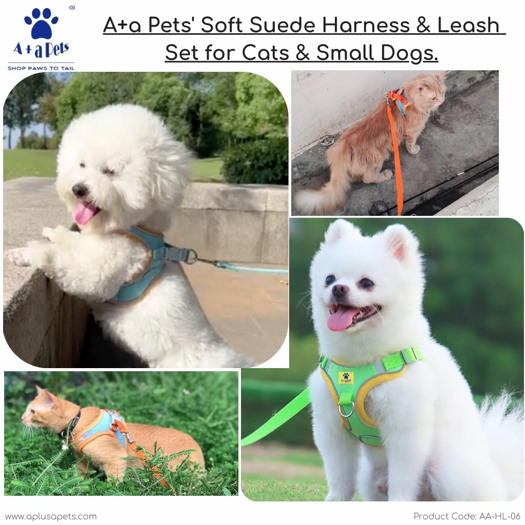 A a Pets' Suede Harness & Leash Set for Cats & Small Dogs
