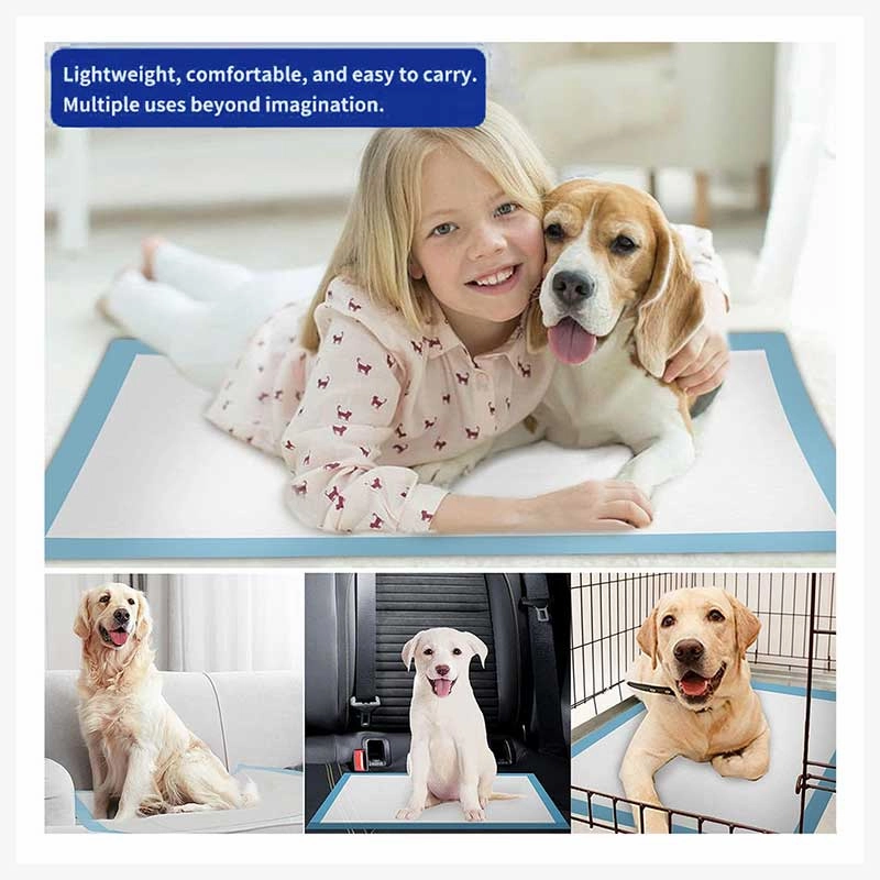 A a Pets' Super Absorbent Dog Pee Pads for Potty Training