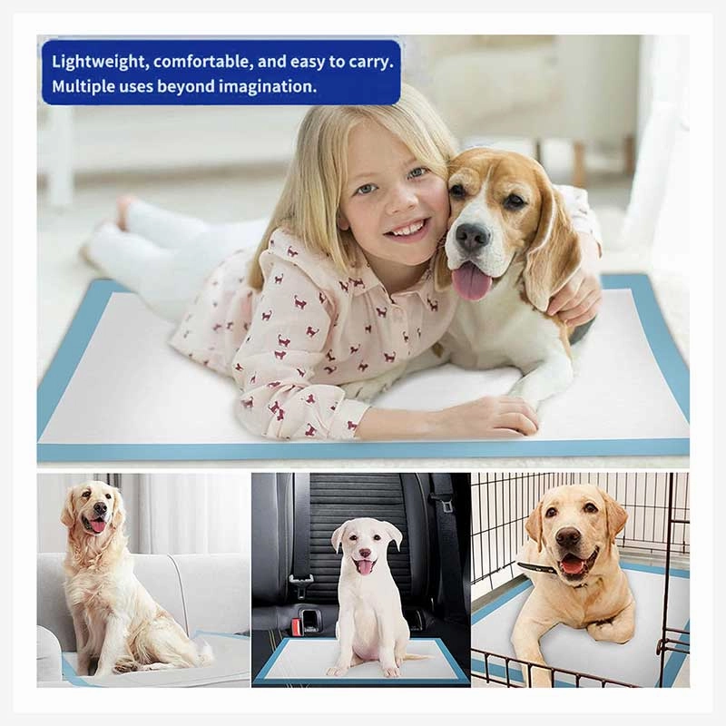 A a Pets' Super Absorbent Dog Pee Pads for Potty Training