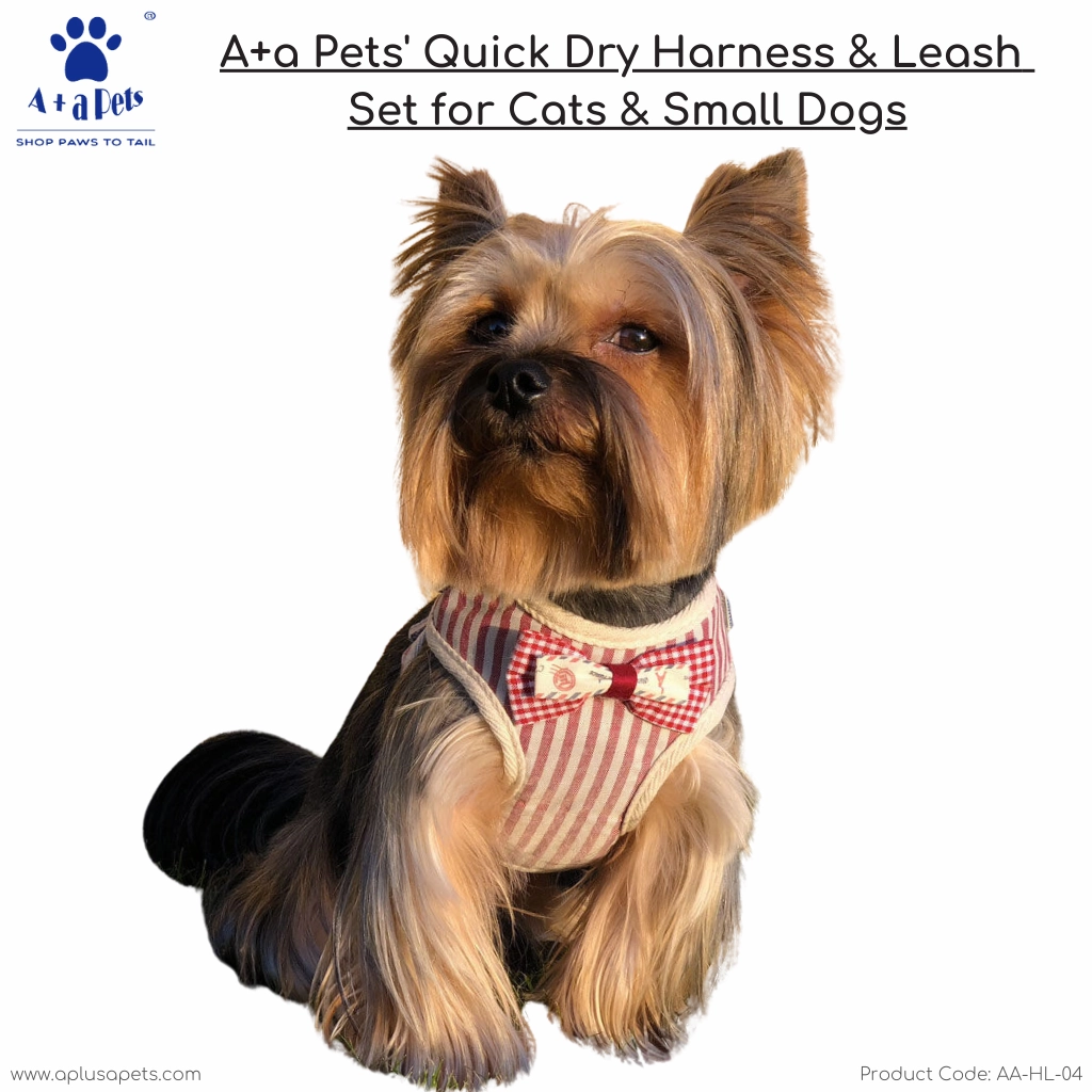 A a Pets' Vest Style Harness & Leash Set for Cats & Small Dogs