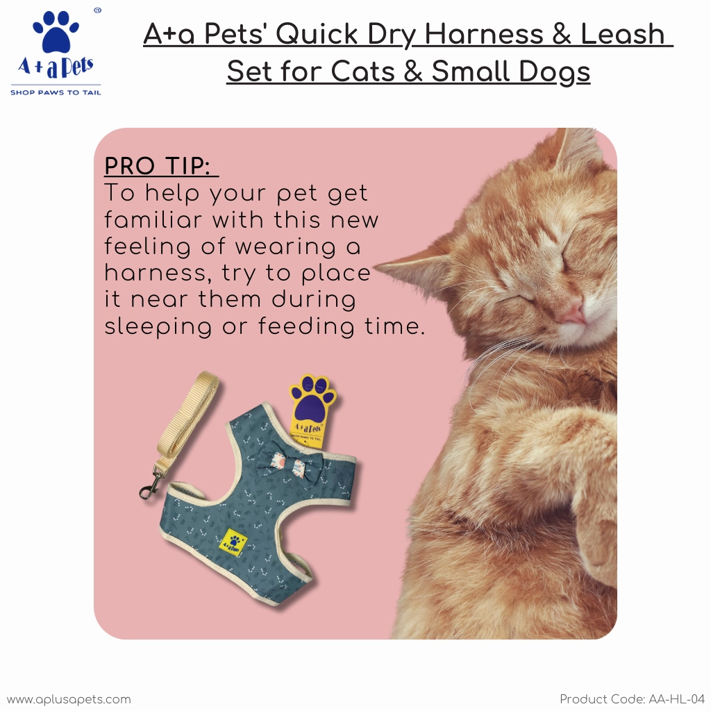 A a Pets' Vest Style Harness & Leash Set for Cats & Small Dogs