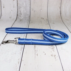 Blue Oscar and Hooch Dog Lead