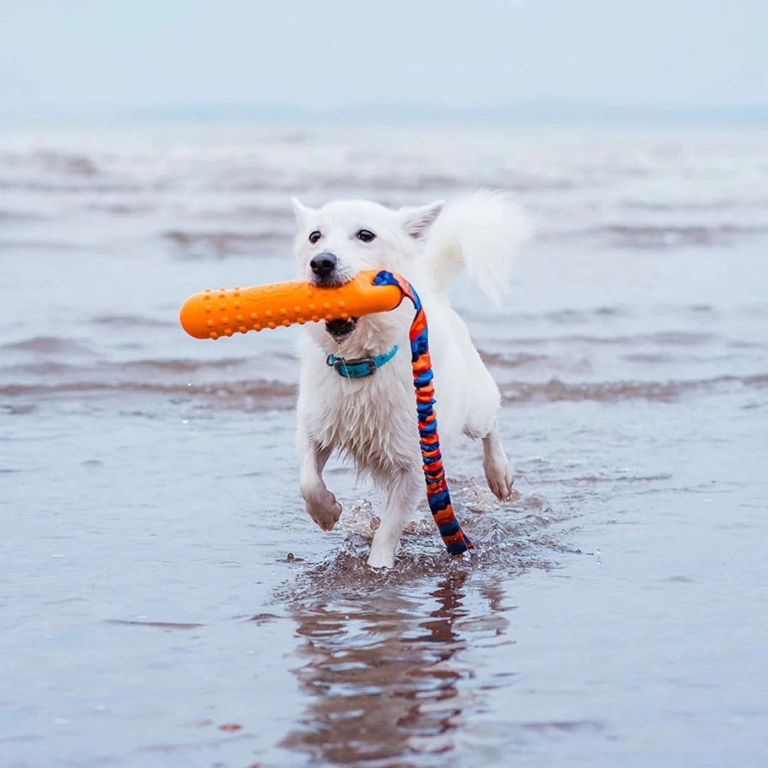 Bob the 3-in-1 Dummy Training Toy by Tug-e-Nuff