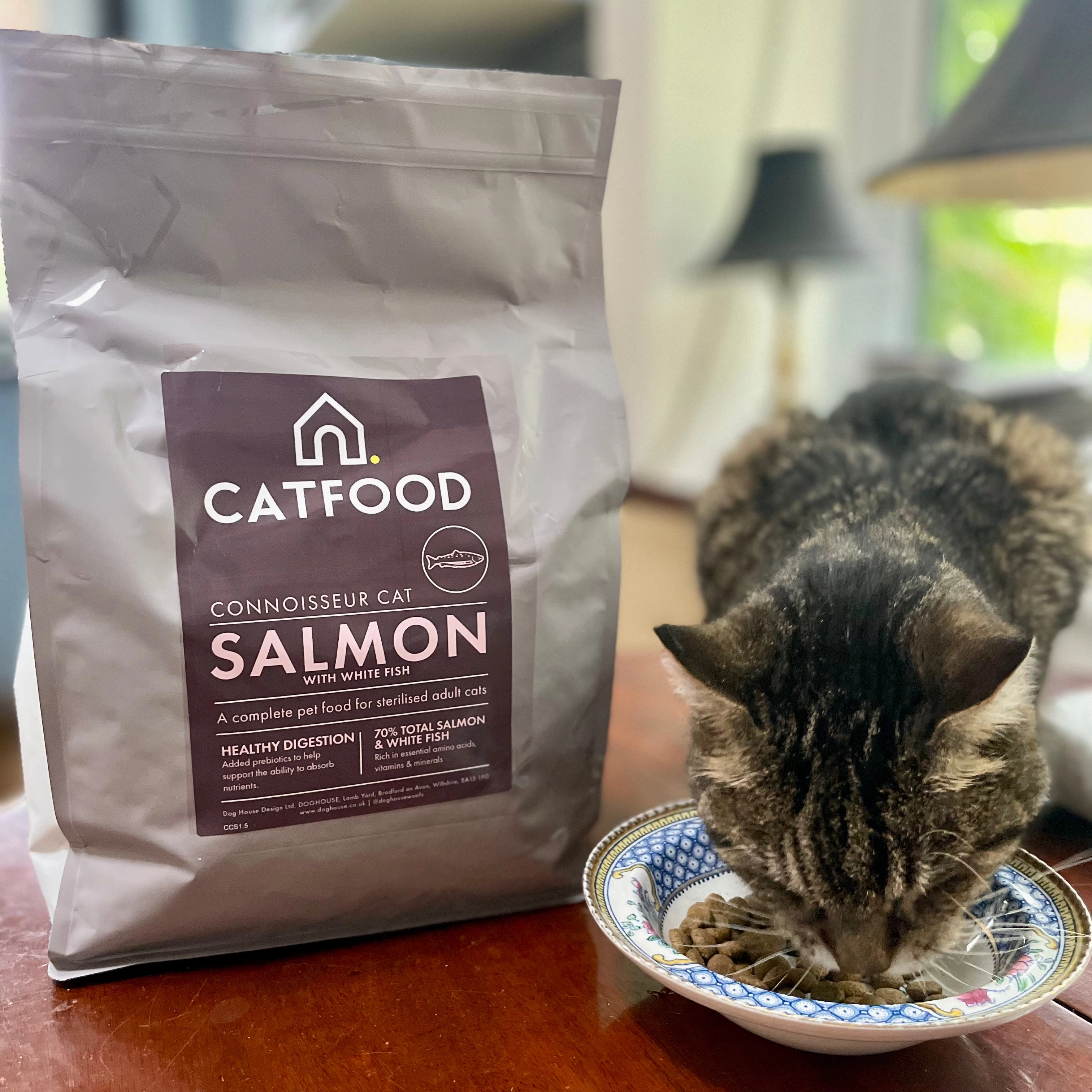 CATFOOD Salmon & White Fish for Adult Cats