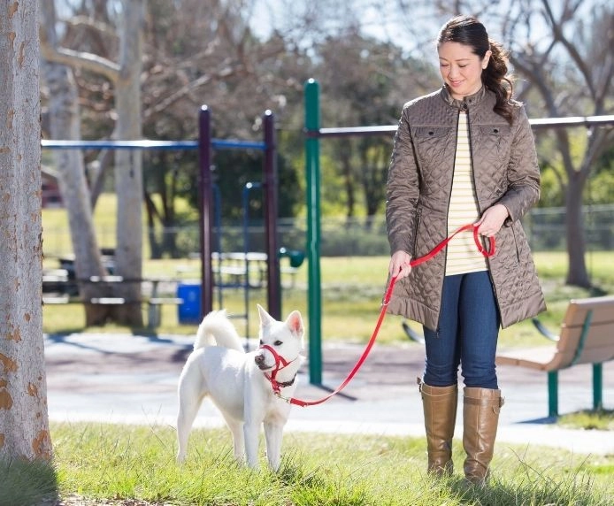 COA Halti Training Dog Lead