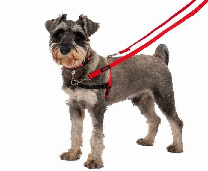 COA Halti Training Dog Lead