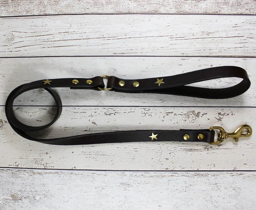 Creatures Clothes Brown Star Leather Lead