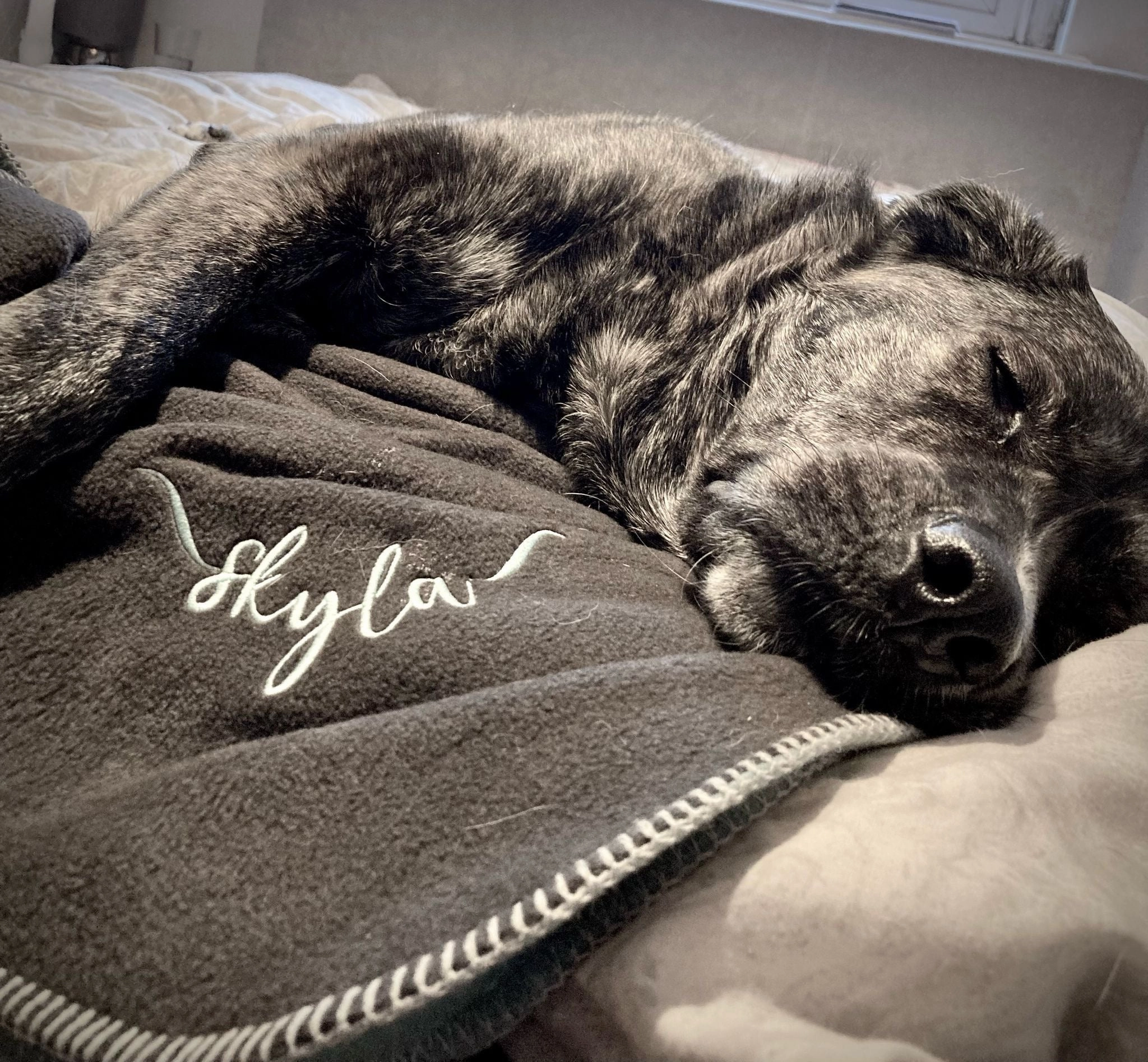 Doghouse Double-Lined Stitch Blankets for Pets