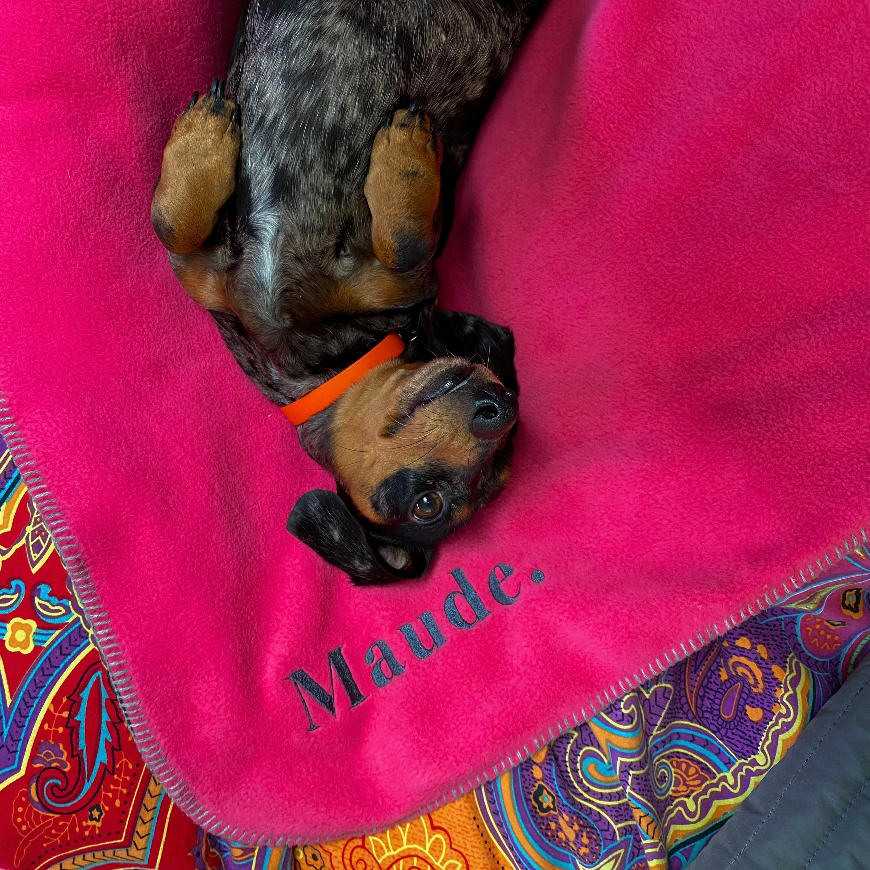 Doghouse Double-Lined Stitch Blankets for Pets