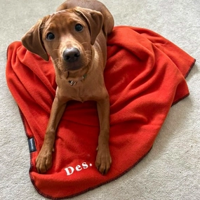 Doghouse Double-Lined Stitch Blankets for Pets