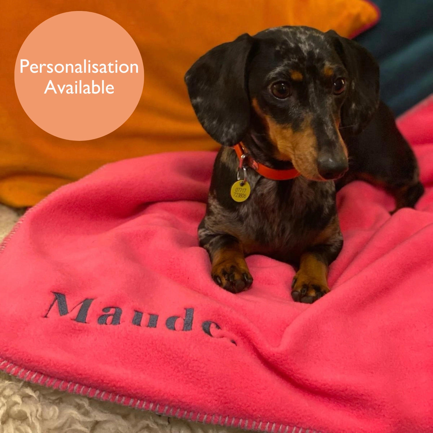 Doghouse Double-Lined Stitch Blankets for Pets