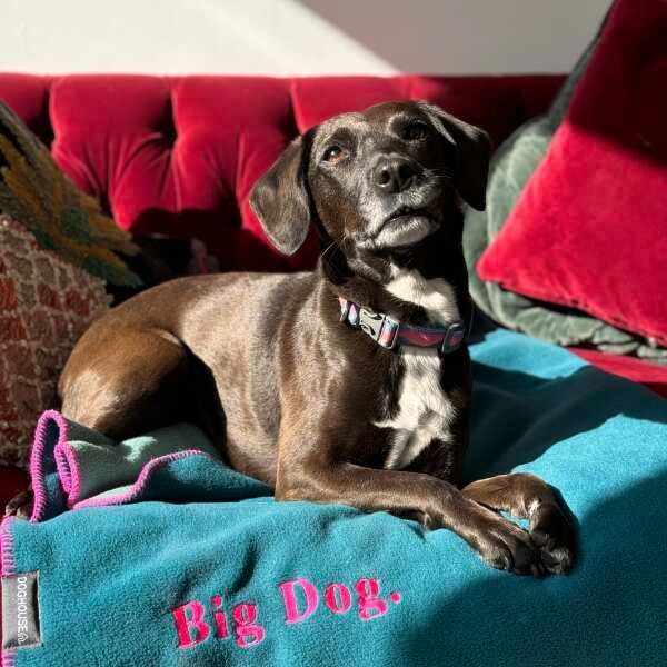 Doghouse Double-Lined Stitch Blankets for Pets