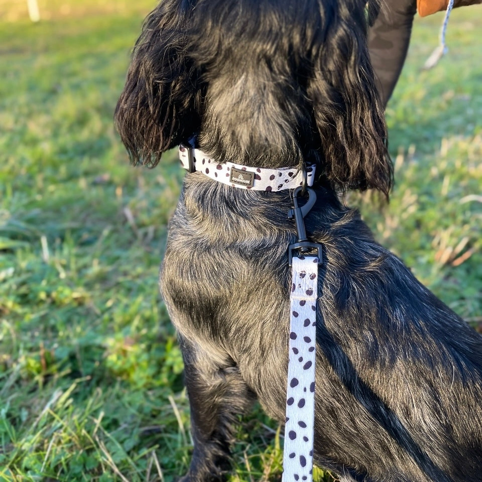 Doghouse Everyday Comfort Dog Lead in Dalmatian Spot