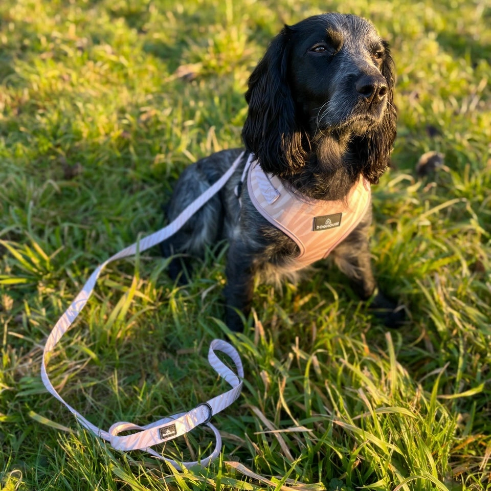 Doghouse Everyday Comfort Dog Lead in Nude Zebra Stripe