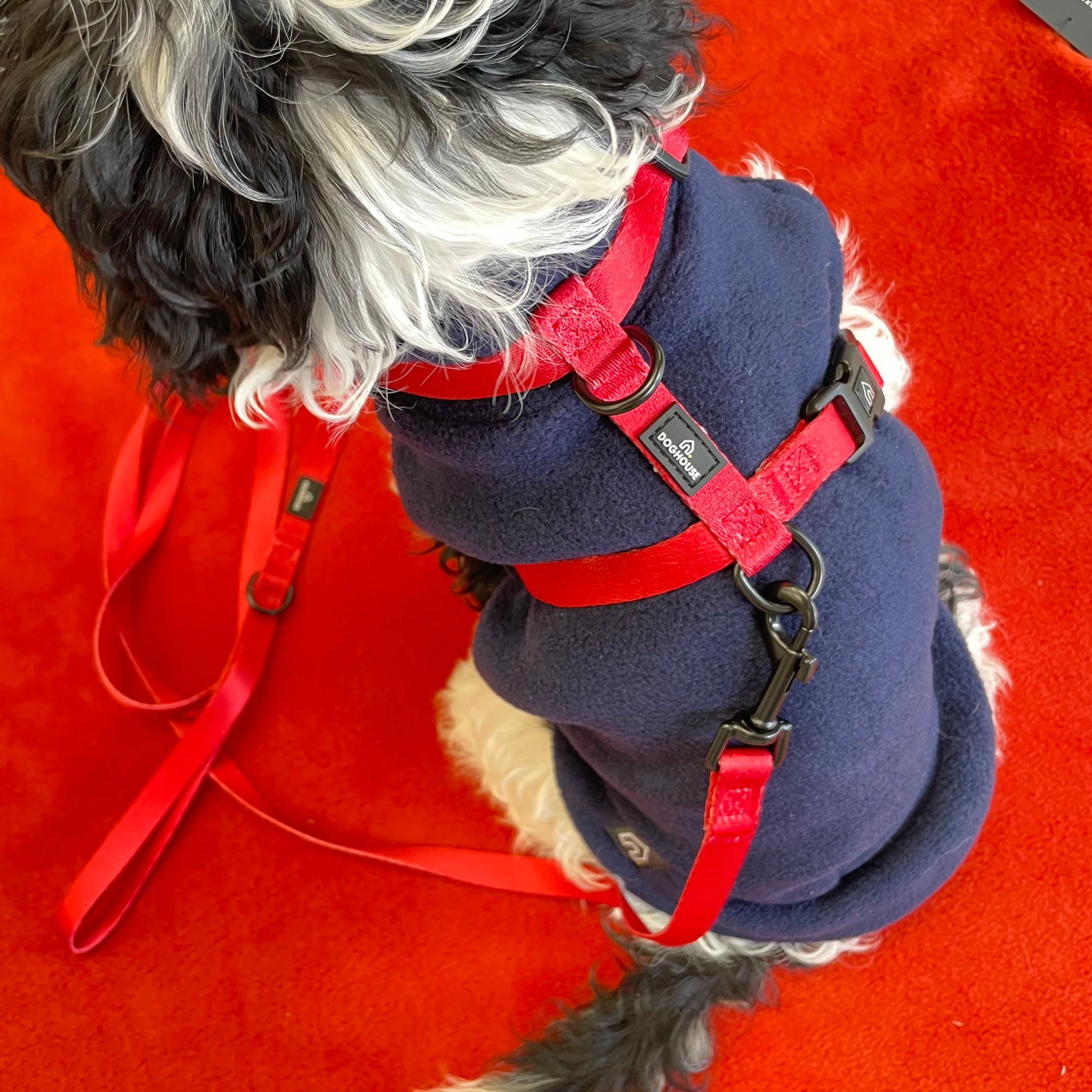 Doghouse Everyday Essential Lead in Red