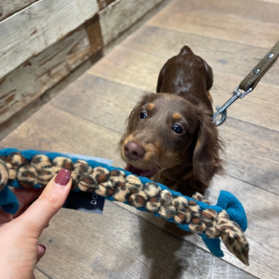 Doghouse Play and Tug Fleece Toy