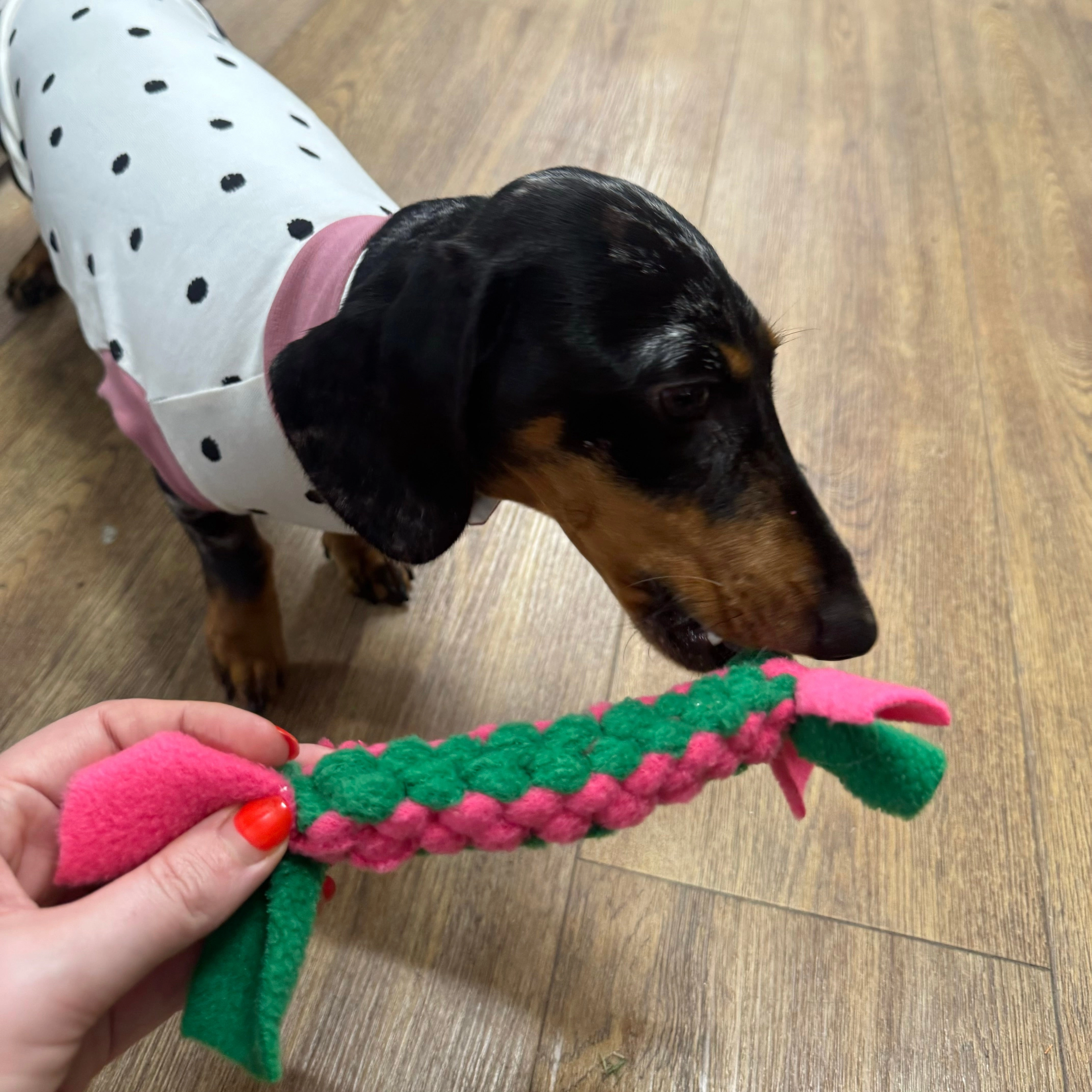 Doghouse Play and Tug Fleece Toy