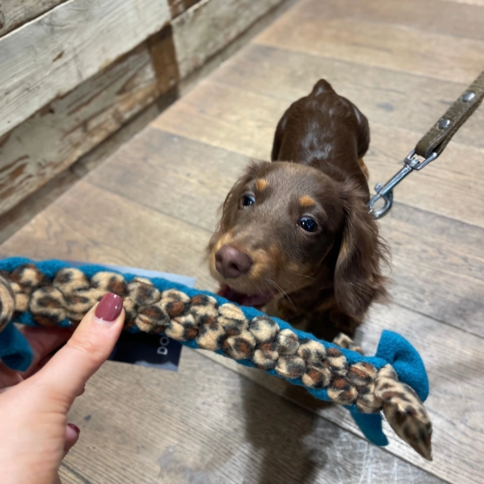 Doghouse Play and Tug Fleece Toy