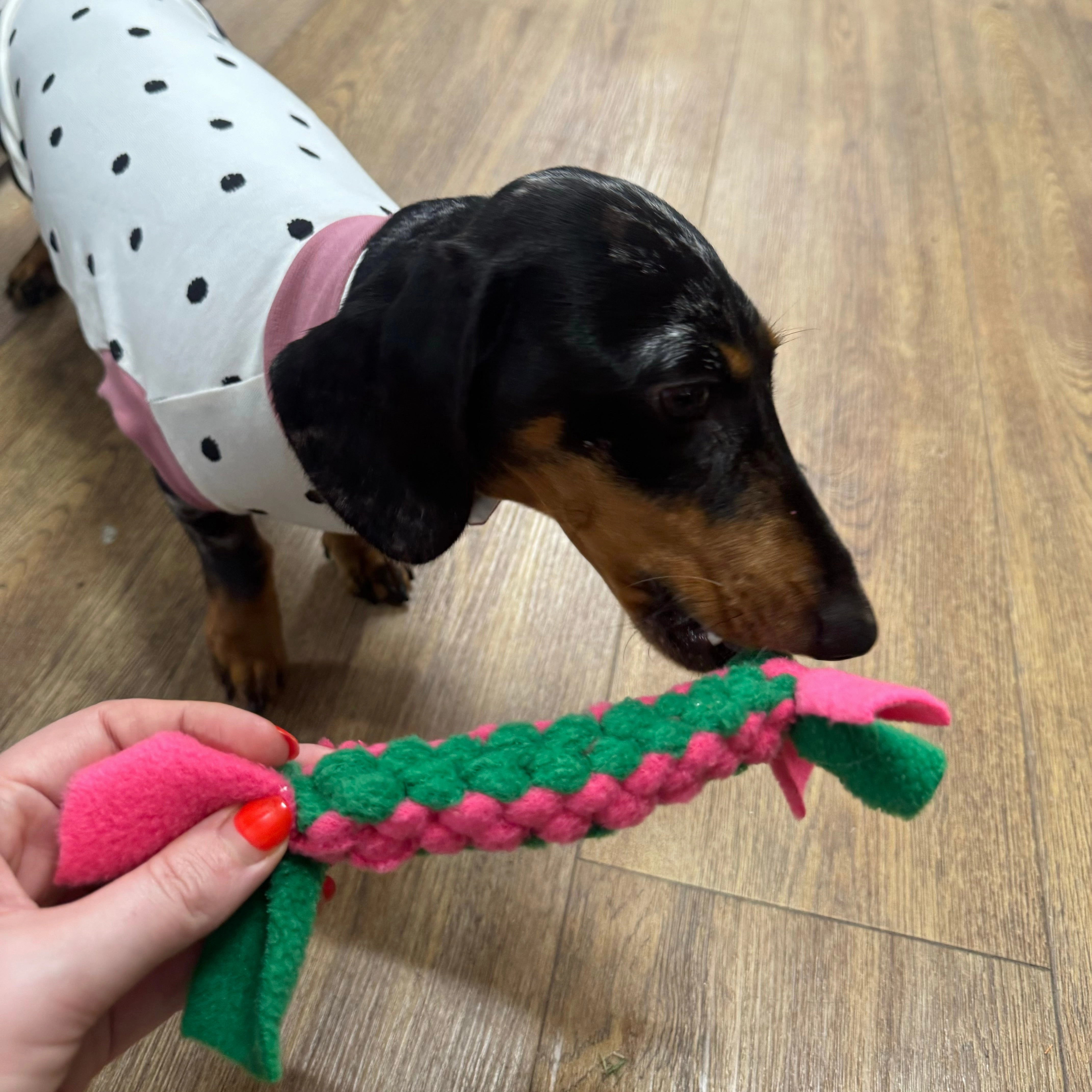 Doghouse Play and Tug Fleece Toy
