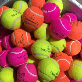 Doghouse Tennis Ball