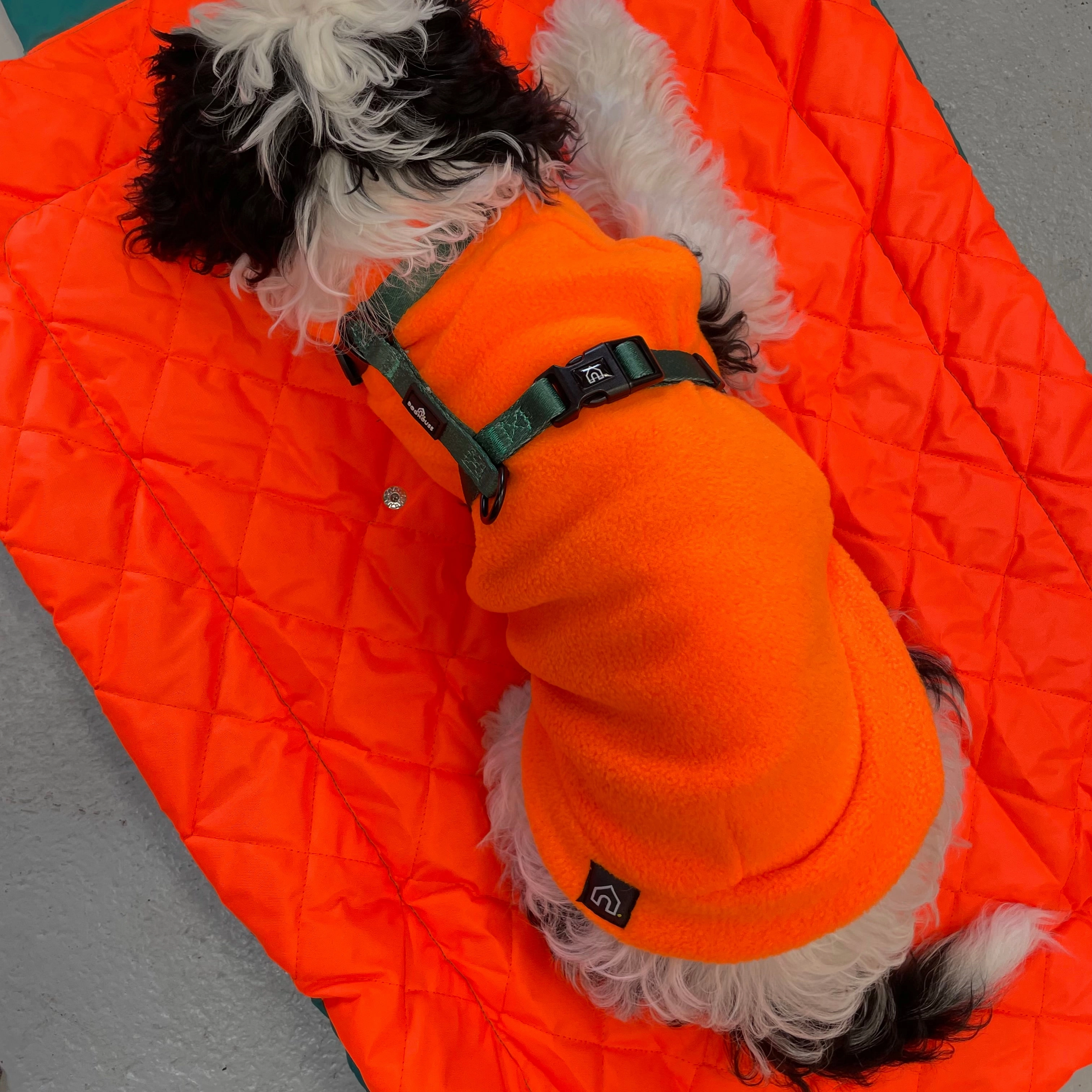 Doghouse Waterproof Pet Settle Mat