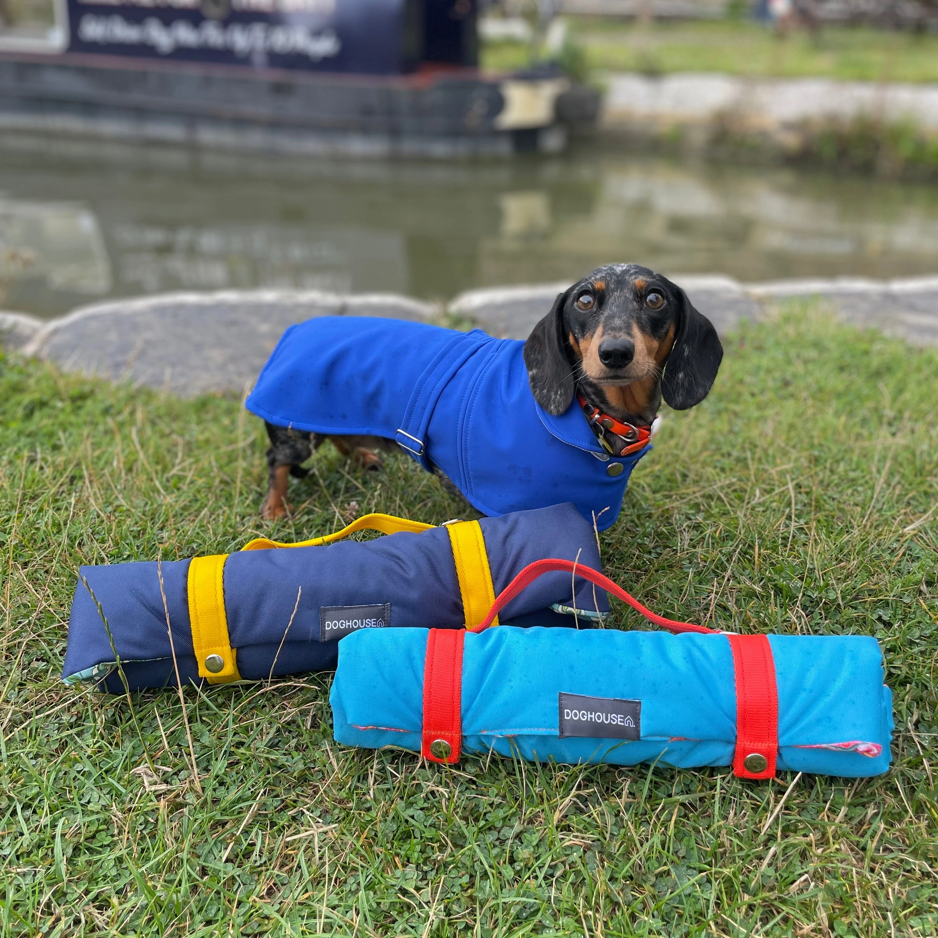 Doghouse Waterproof Pet Settle Mat