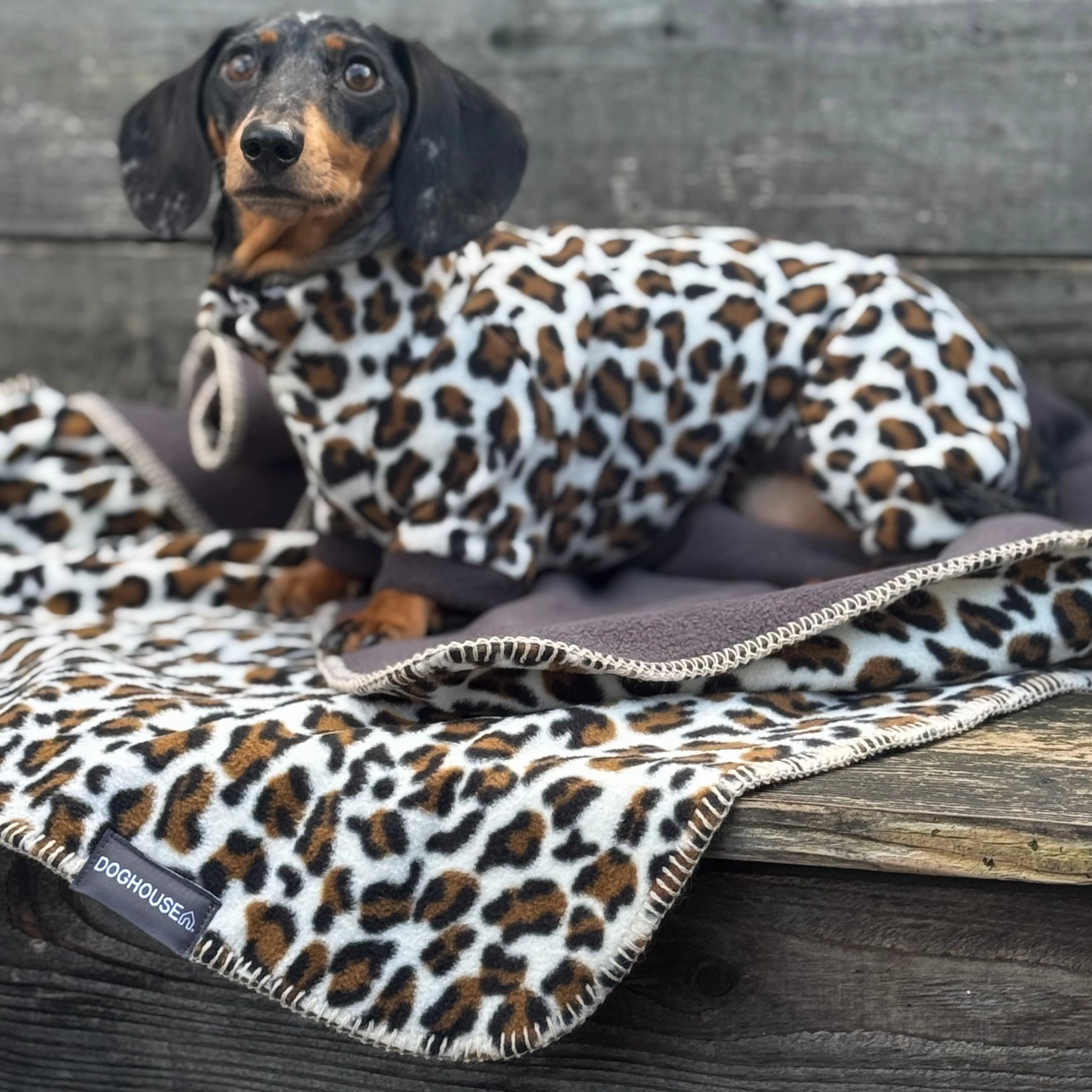 Doghouse Wild Blankets for Dogs