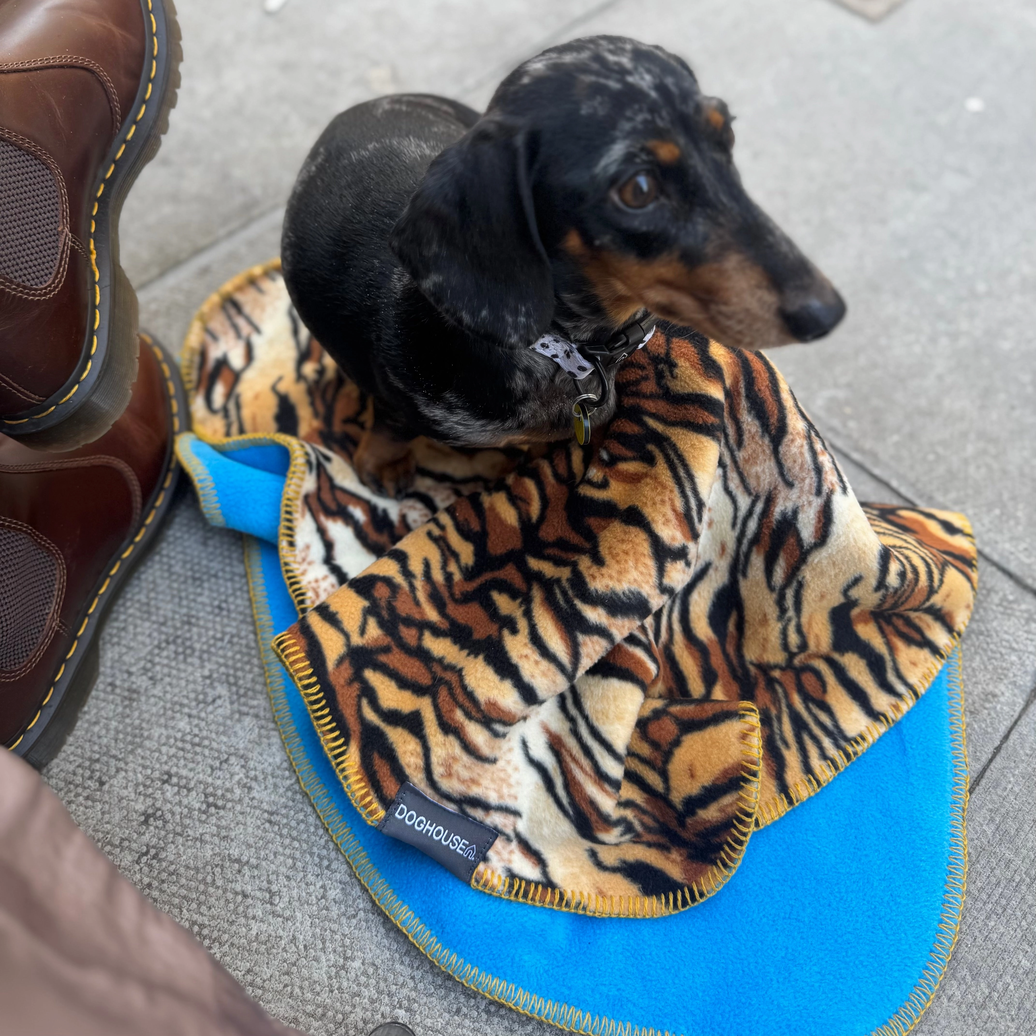Doghouse Wild Blankets for Dogs