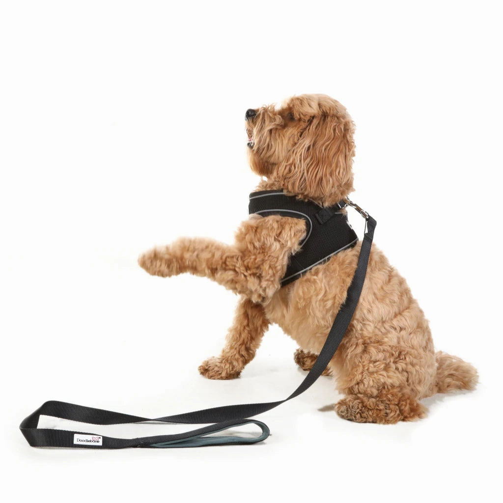 Doodlebone Originals Dog Lead