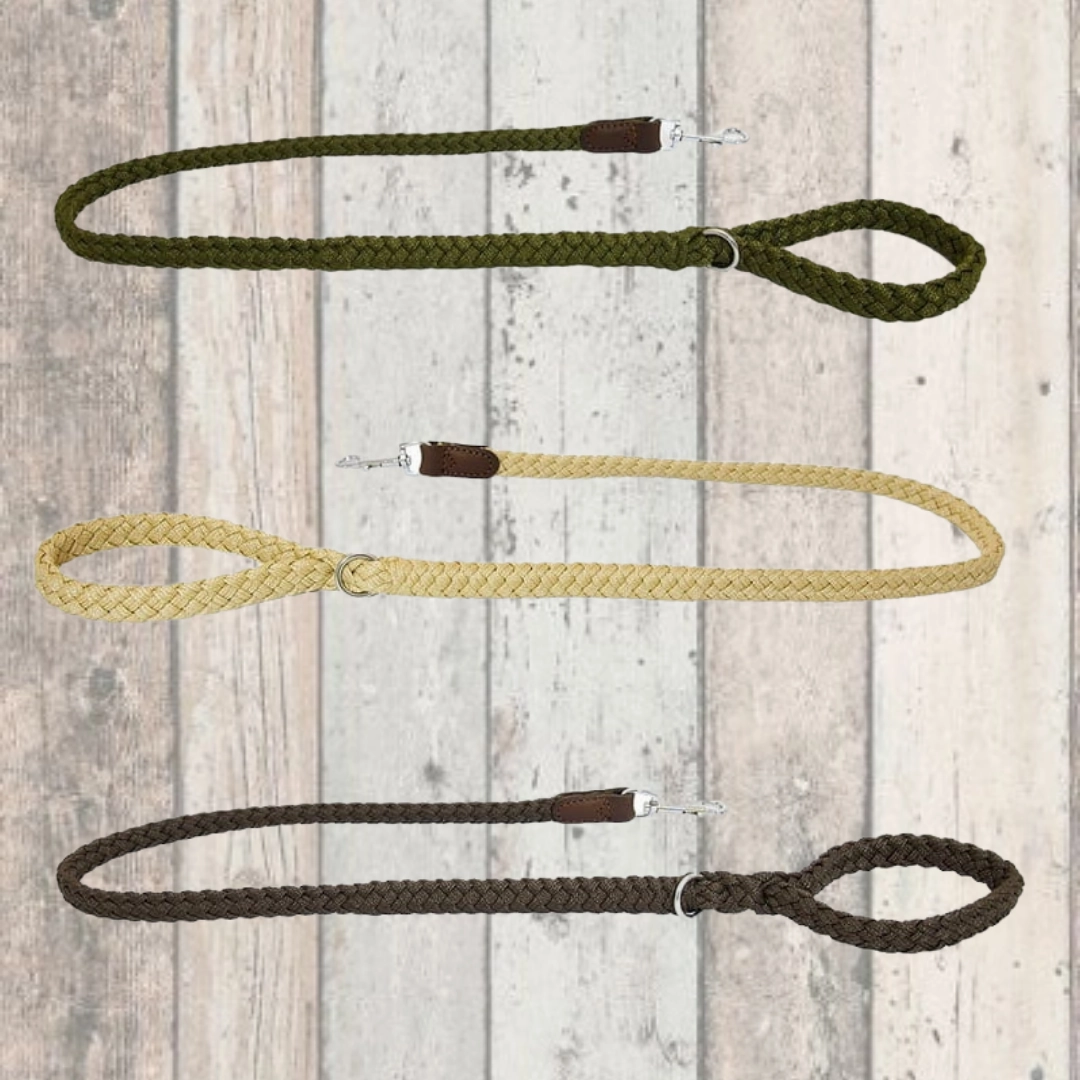 Earthbound Braided Dog Leads