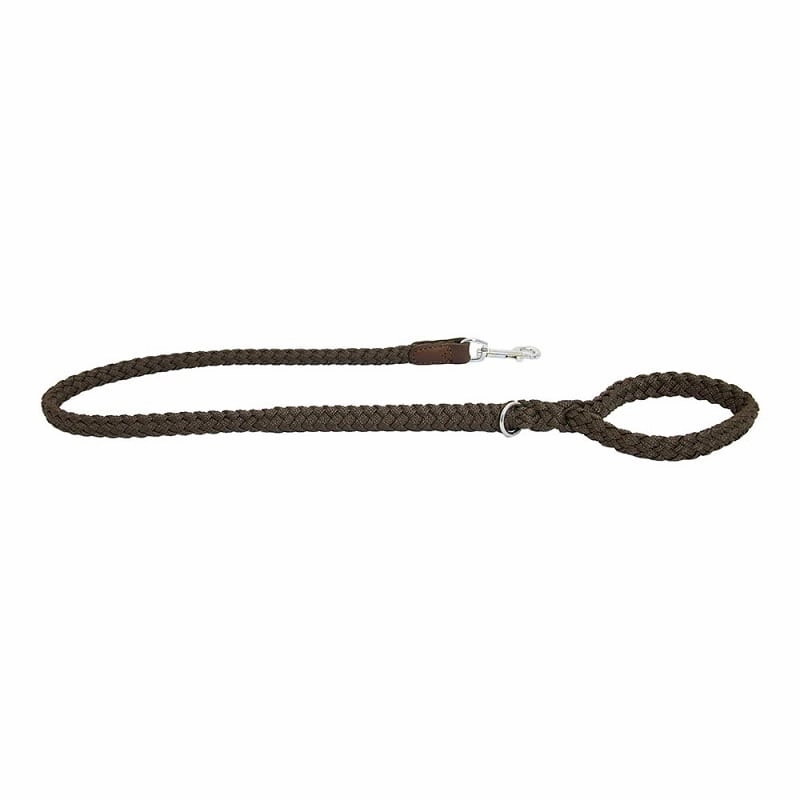 Earthbound Braided Dog Leads