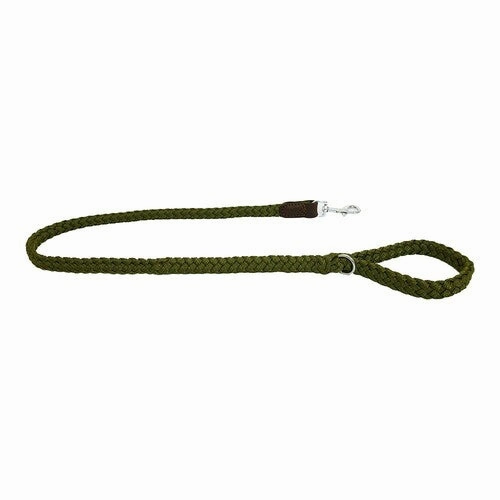 Earthbound Braided Dog Leads