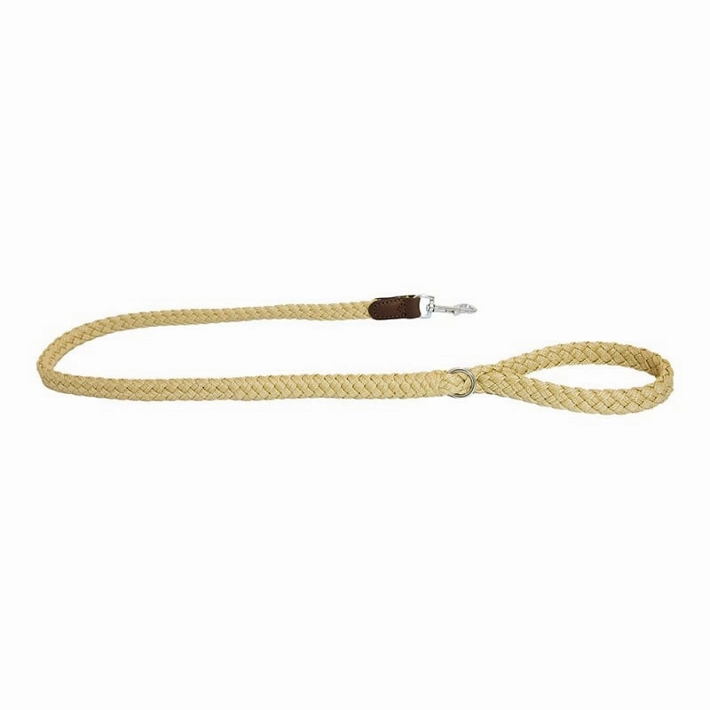 Earthbound Braided Dog Leads