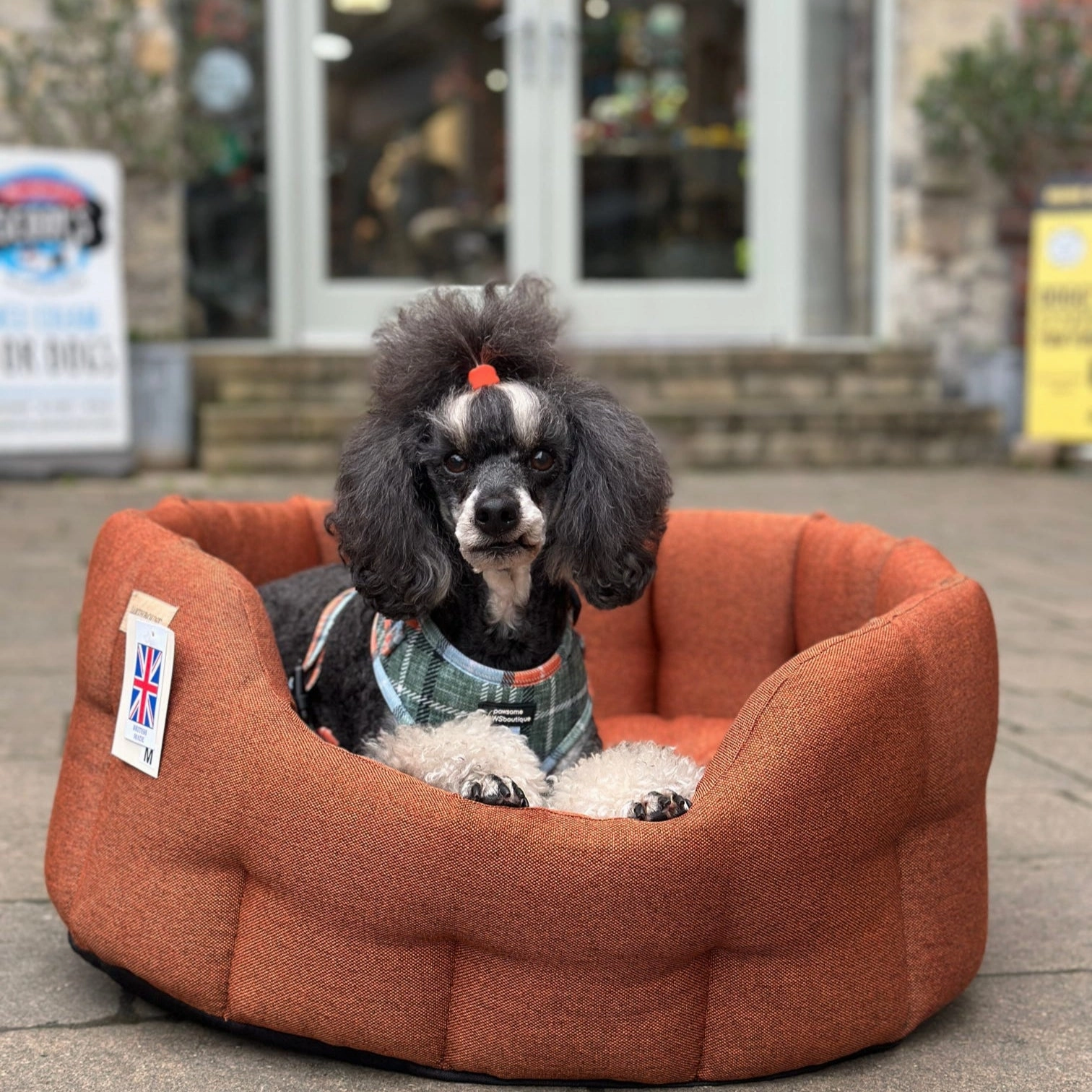 Earthbound Camden Burnt Orange Dog Bed